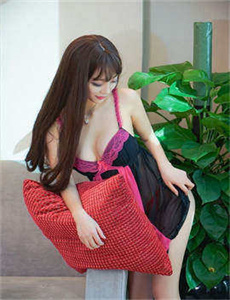 《锦衣卫之暮光之下》