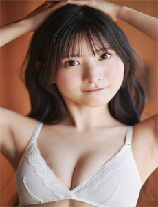 《龙黄蜂》